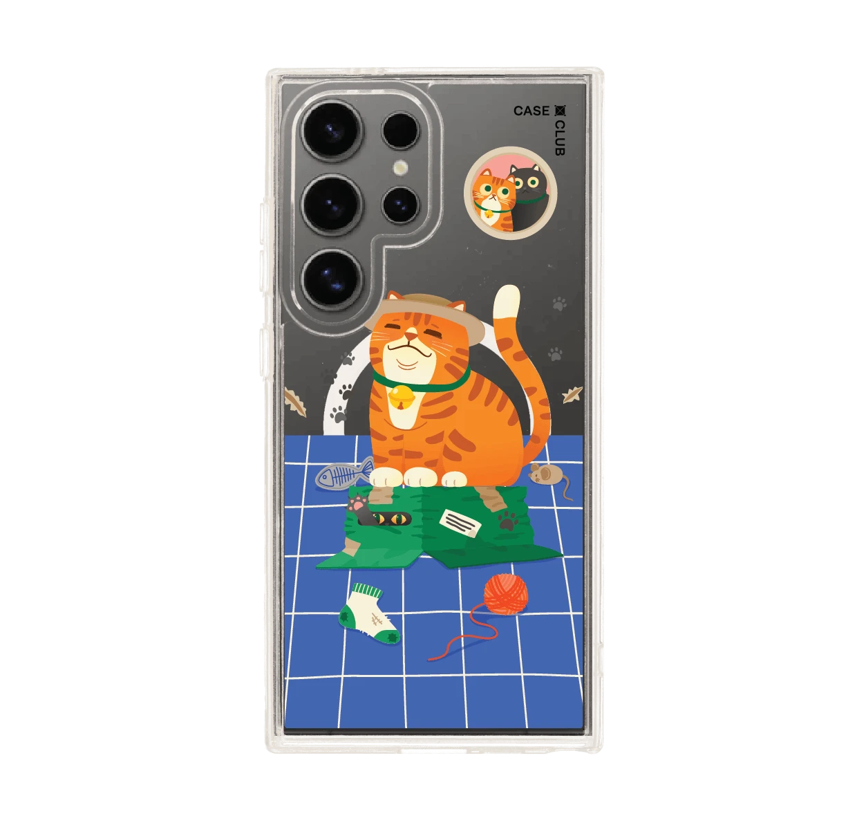 แมวหมวกฟางนักผจญภัย